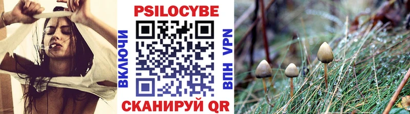 наркотики  Арзамас  Галлюциногенные грибы MAGIC MUSHROOMS 