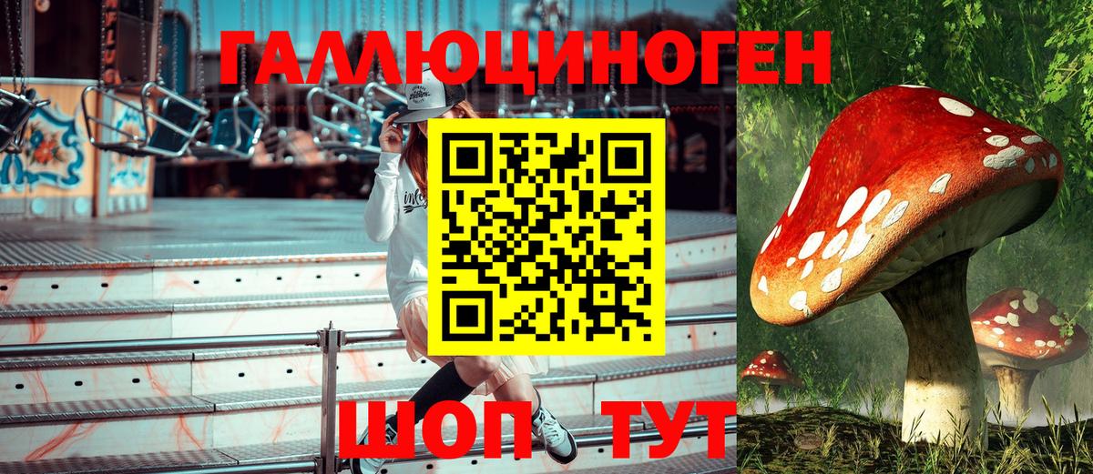 Арзамас  Галлюциногенные грибы мухоморы  Вход с VPN 